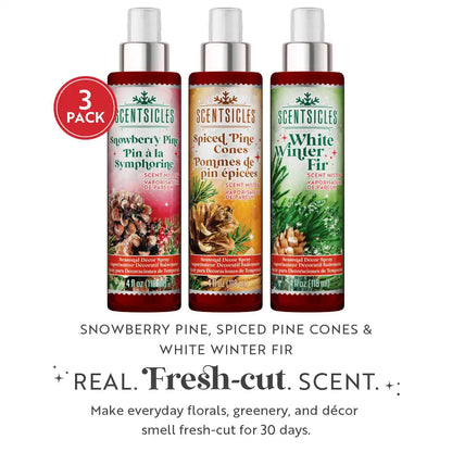 Scentsicles, Scent Mister 1 White Winter Fir/ 1 Snowberry Pine/1 Spiced Pine Cones- 3 pack