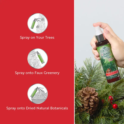 Scentsicles, Scent Mister 1 White Winter Fir/ 1 Snowberry Pine/1 Spiced Pine Cones- 3 pack