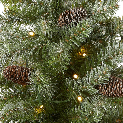 2 ft. Pre-Lit Snowy Concolor Fir Tree with LED Lights