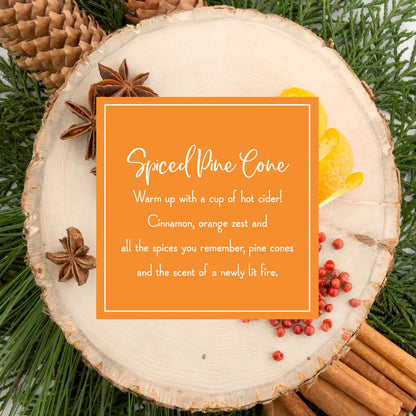 Scented Ornaments, 2-Pack-  6ct Bottle, Spiced Pine Cones, Fragrance-Infused Paper Sticks