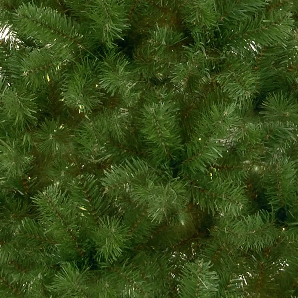 7.5 ft. Canadian Fir Tree