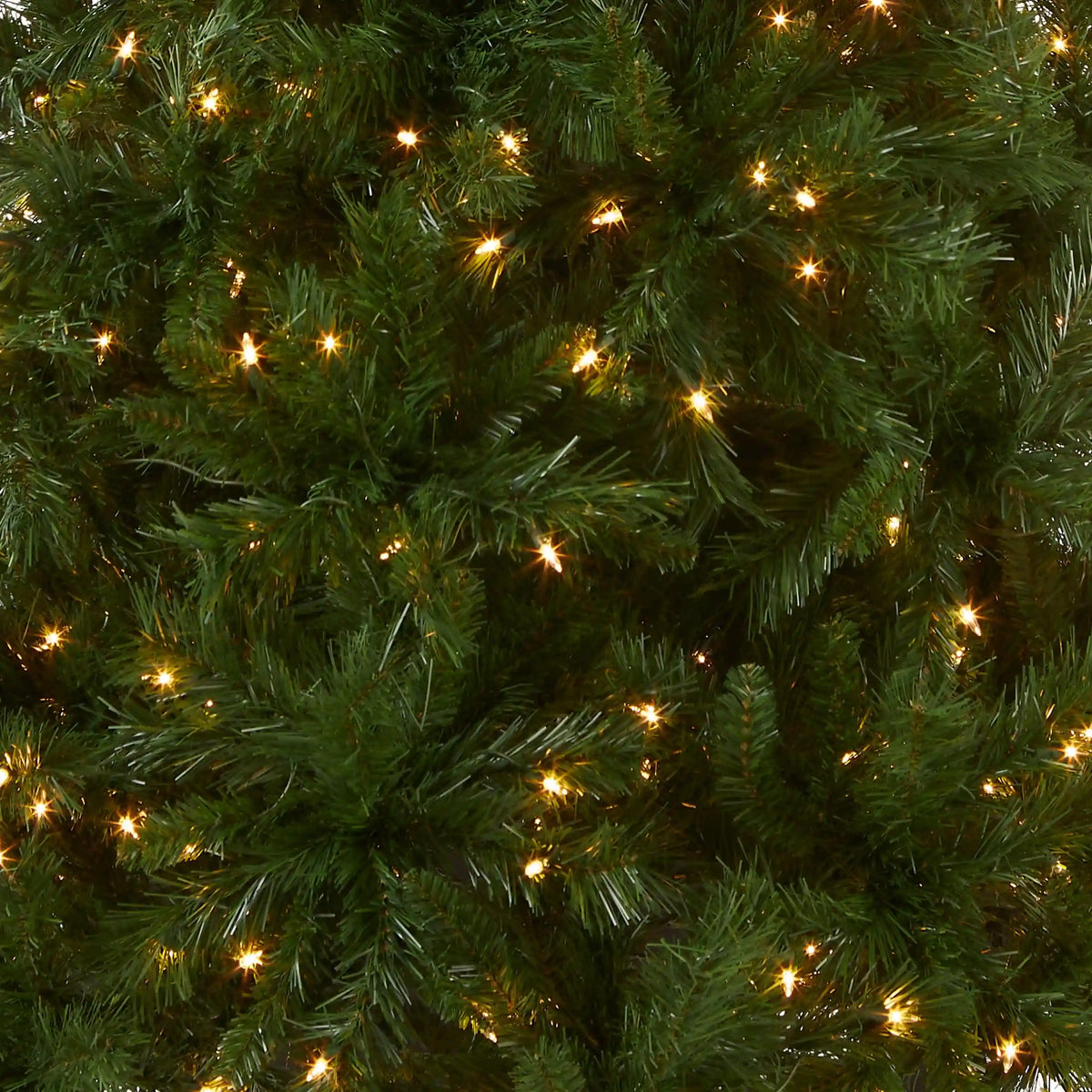 6.5 ft. Pre-Lit Winchester Pine Tree with Clear Lights, Plug-In